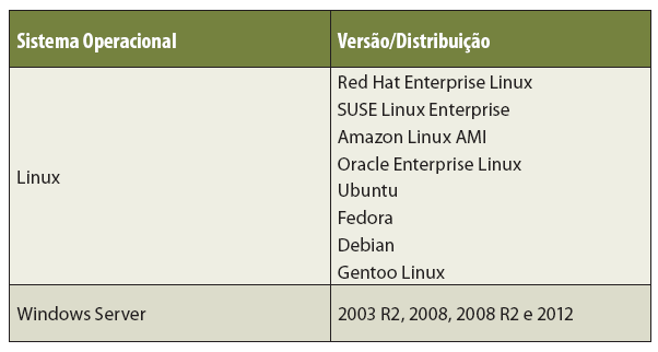 Lista de sistemas operacionais disponveis para utilizao no EC2