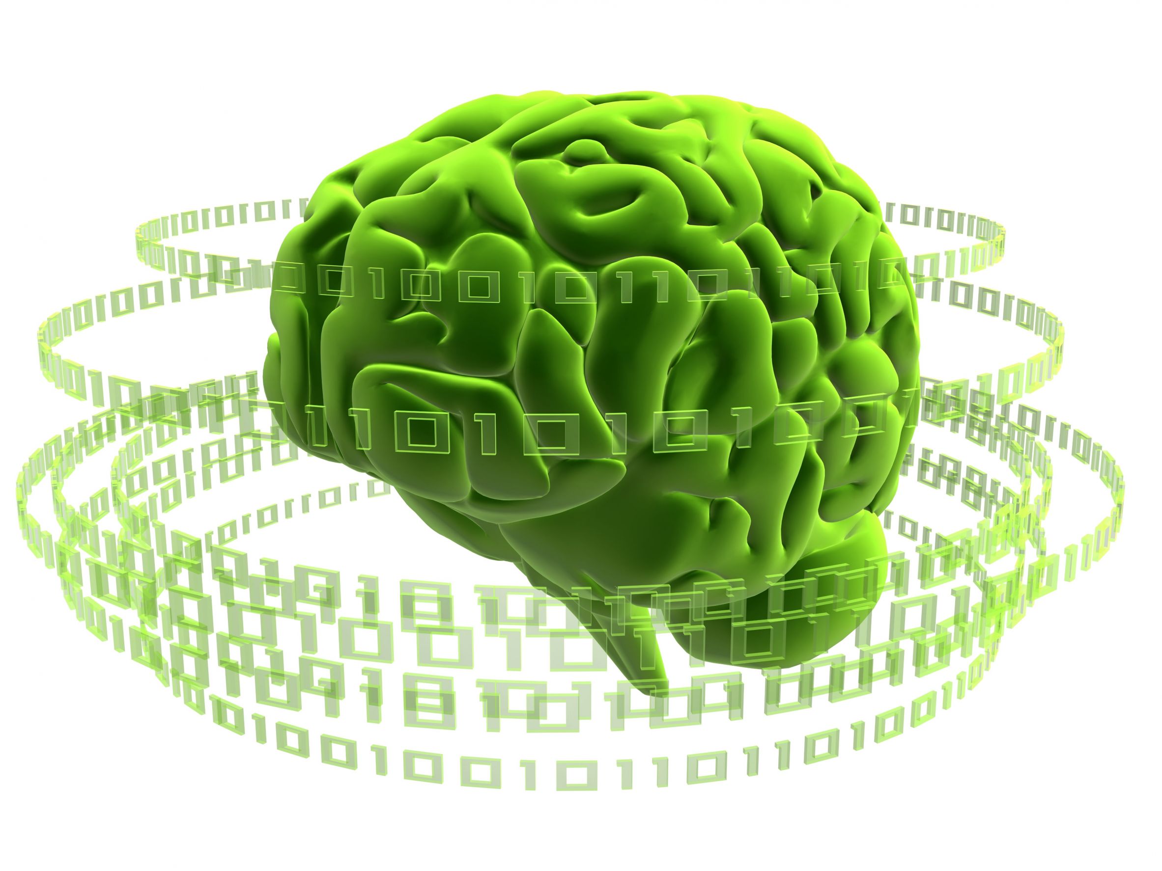 Green brain. Зеленый мозг. Зеленые мозги. Мозг зеленого цвета. Зеленые мозги цветок.