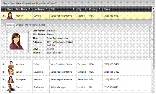 DataGrid com detalhamento de registros. Fonte: www.telerik.com