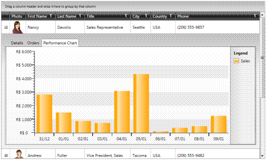 DataGrid com grfico no detalhamento
do registro. Fonte: www.telerik.com