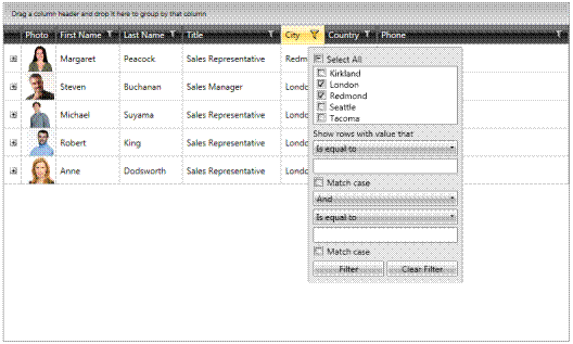 Filtragem dos registros, realizado no
prprio DataGrid. Fonte: www.telerik.com