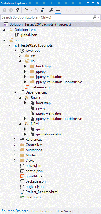 Estrutura do
     projeto TesteVS2015Scripts