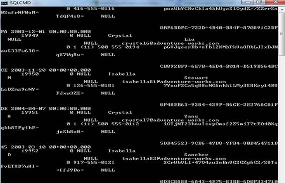 Janela do SQLCMD mostrando os dados da tabela Person Contact