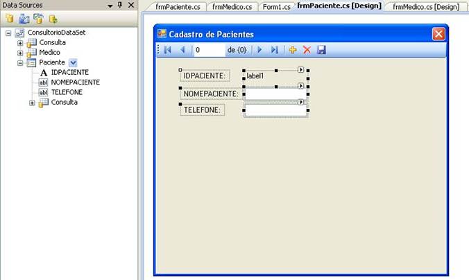 Campos adicionados  tela