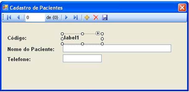Aparncia final do formulrio de cadastro de pacientes