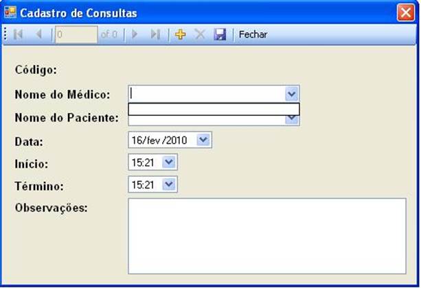 Tela de cadastro de consultas em execuo