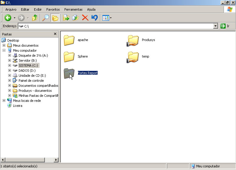 Pasta do FortesReport descompactada