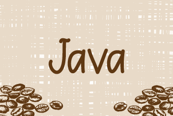 Programador Java